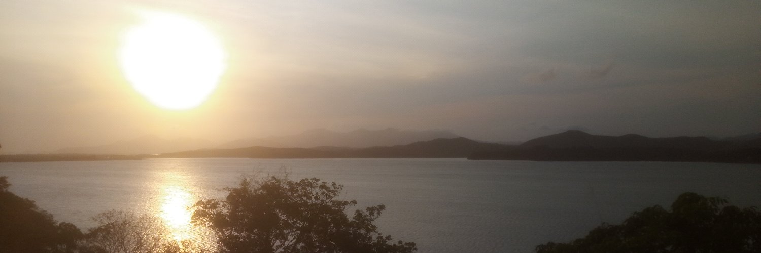 vandilis's profile banner image