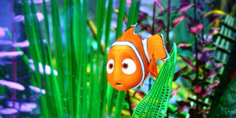 Nemo_ccp's profile banner image