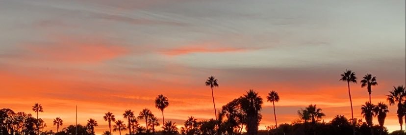 LissyChristine's profile banner image