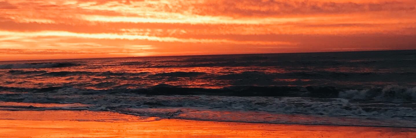 CaroAlvarez6's profile banner image