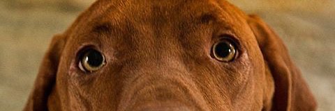 GarnerScott's profile banner image