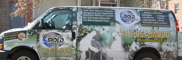 5BoroMold Profile Banner