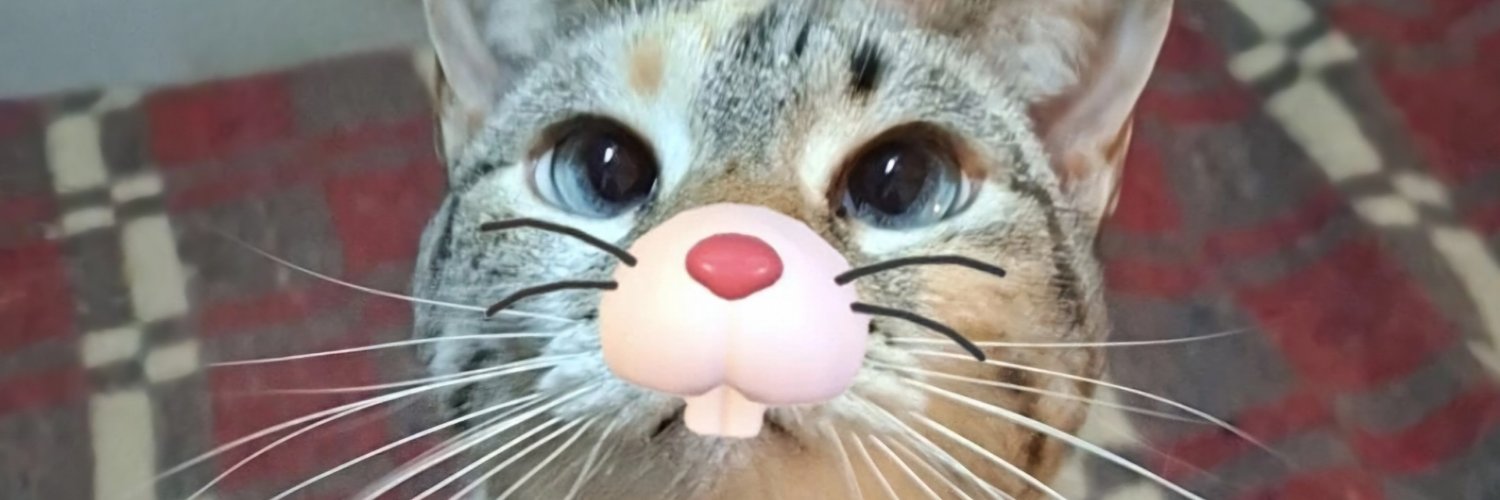 danubvd's profile banner image