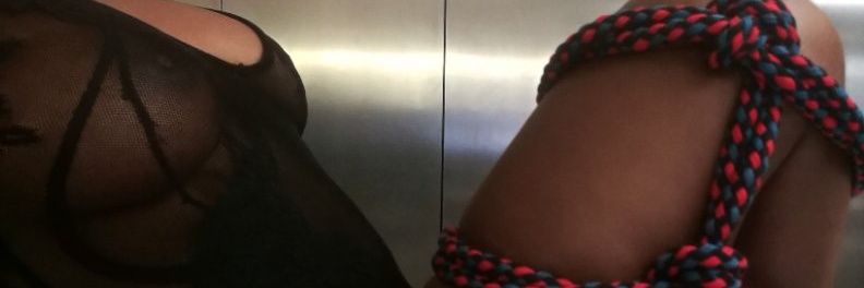 Mistress Clover🌈 banner