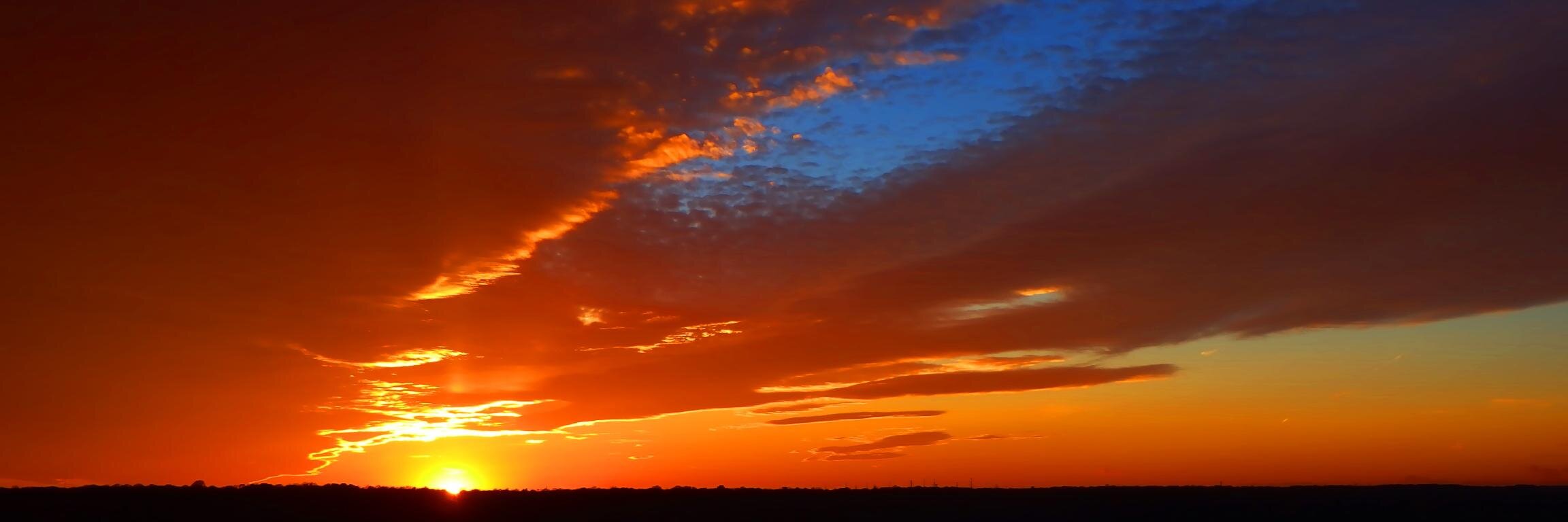 WorldFutureFund's profile banner image