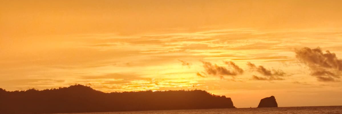 K e r 🐝🍯 banner