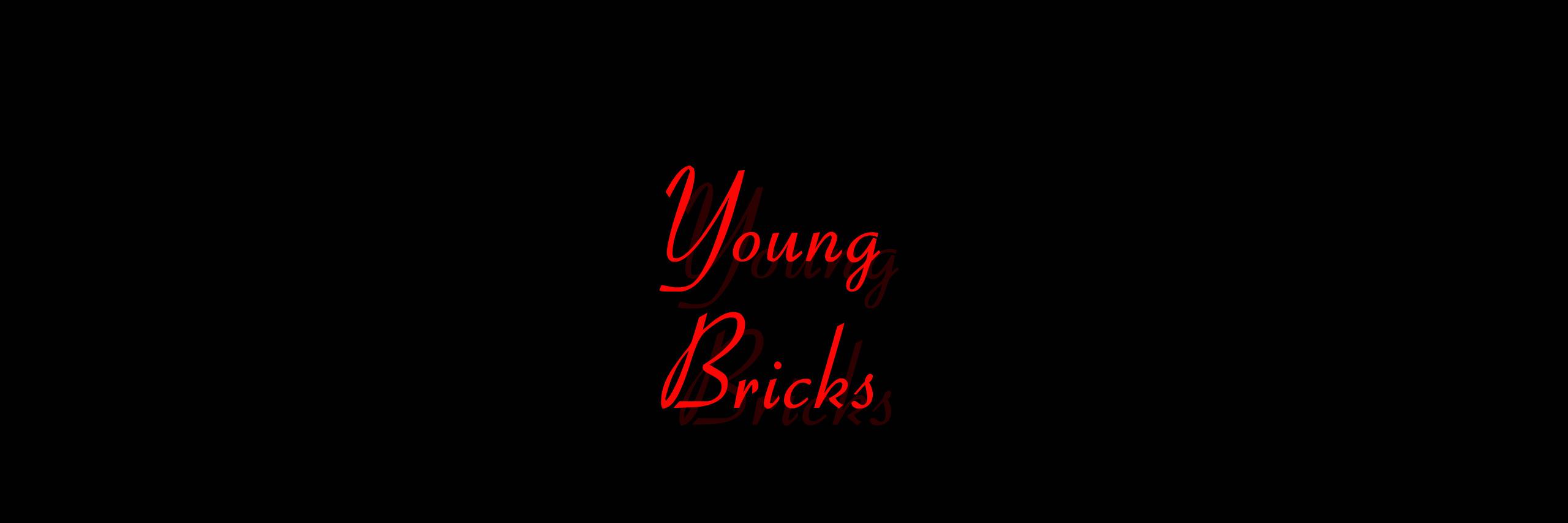 YoungBricksENT's profile banner image