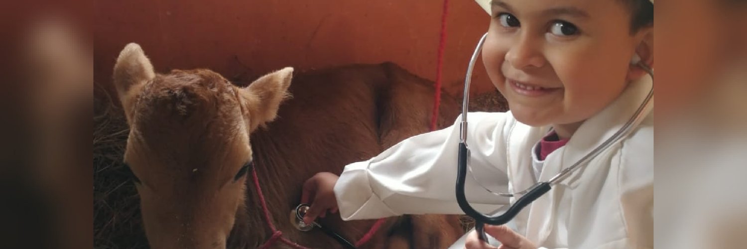 Anamileor's profile banner image
