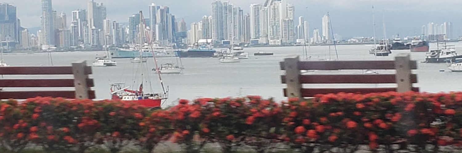 danitororio's profile banner image
