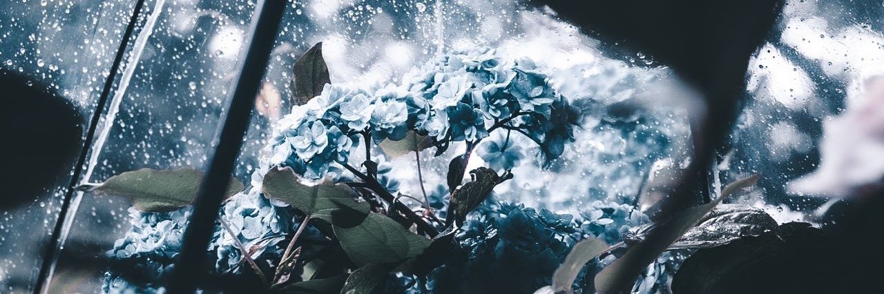 chibikaa_'s profile banner image