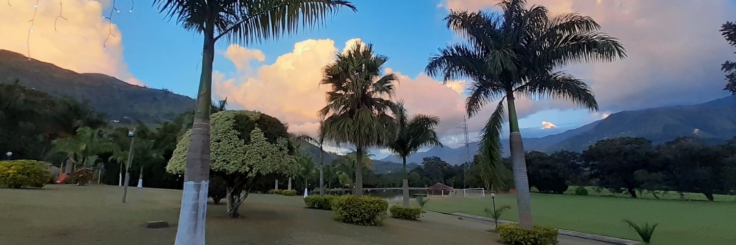 _penavega's profile banner image