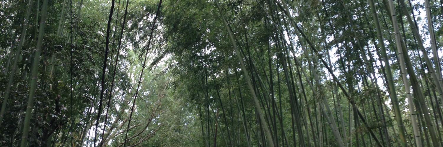 BlueDarrk's profile banner image