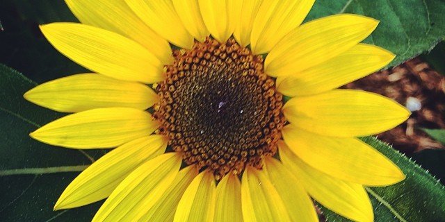 kay_danielle89's profile banner image