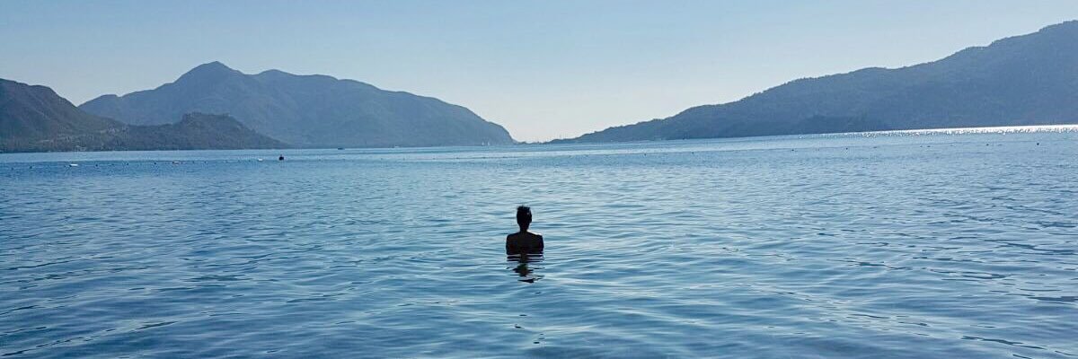 preciousvegan_ banner