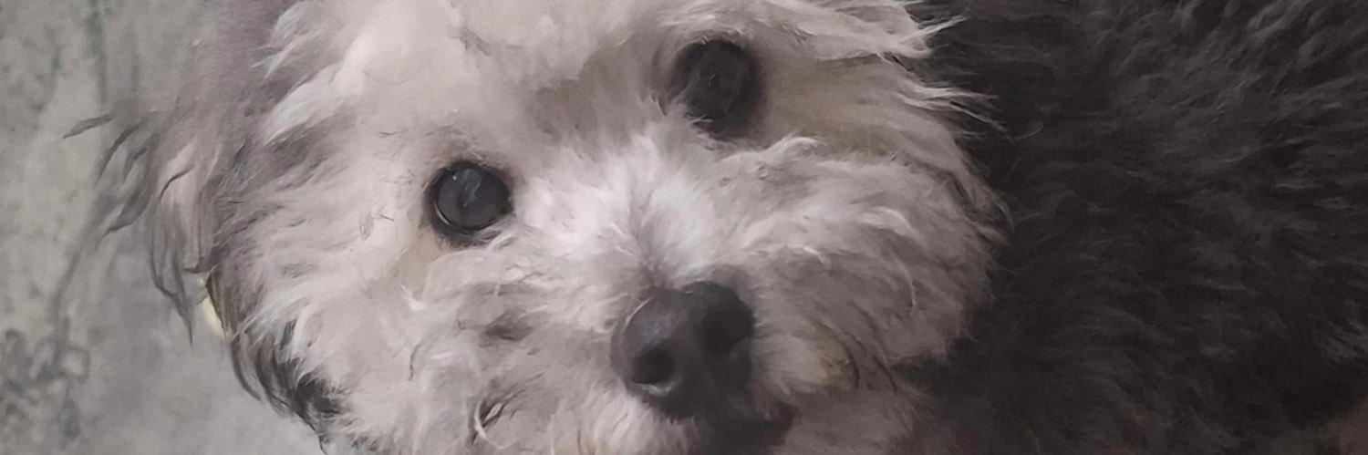 wtfisym's profile banner image