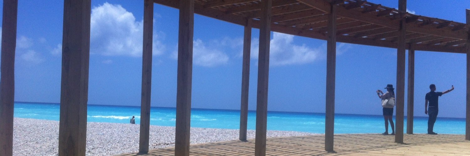 Addys Then Marte banner