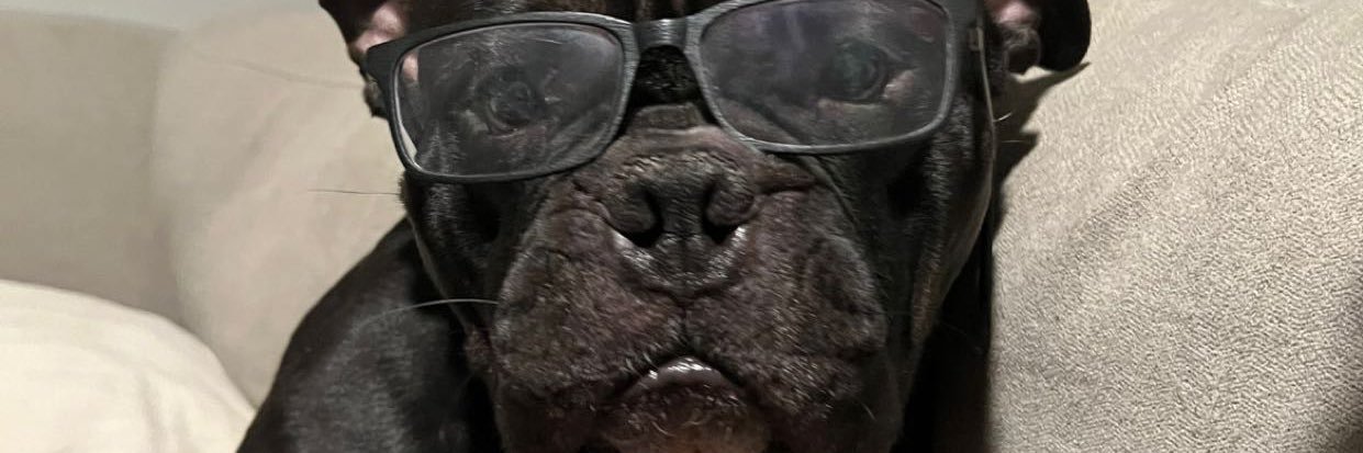 cmonjoey's profile banner image