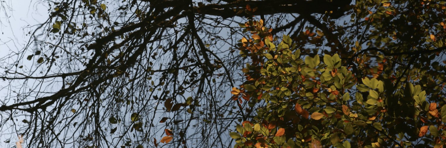 bagaadur's profile banner image