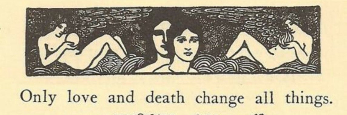 postbarbaridad's profile banner image