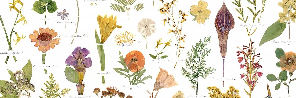 eeliett_'s profile banner image