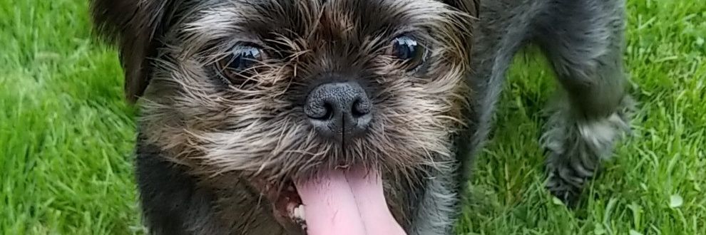 HattonSean's profile banner image