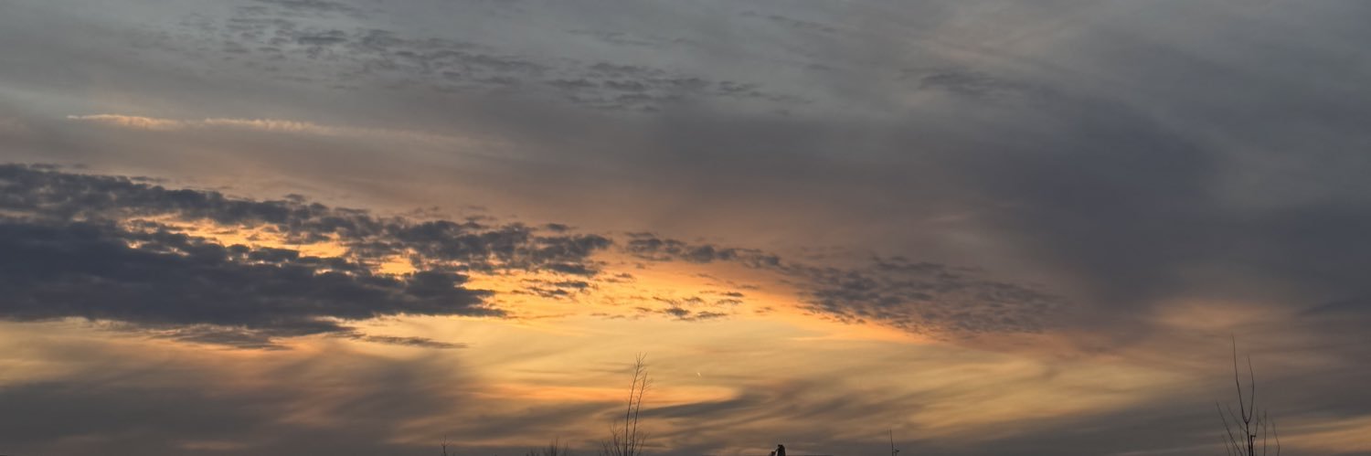 donnaimaria's profile banner image