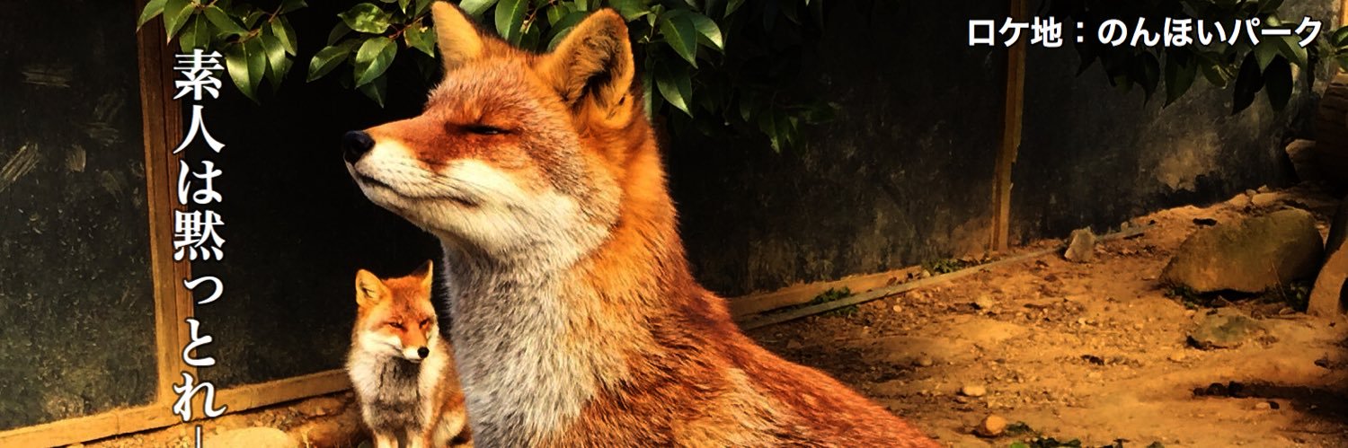 猫又『九(Qoo)』〈妖怪〉 banner