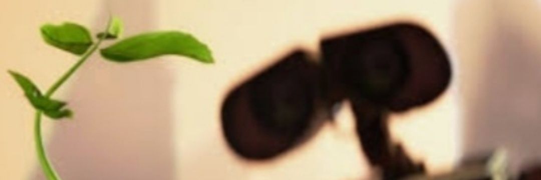 tom_vallru's profile banner image