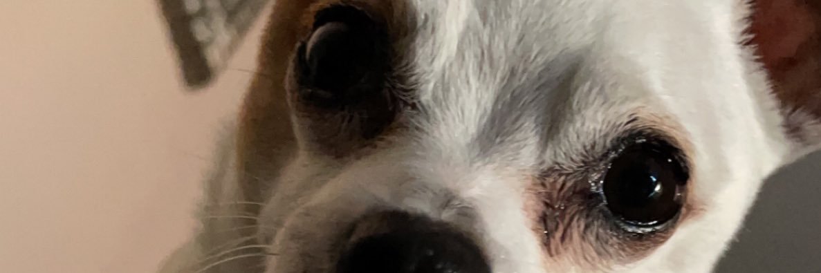 yekagc's profile banner image