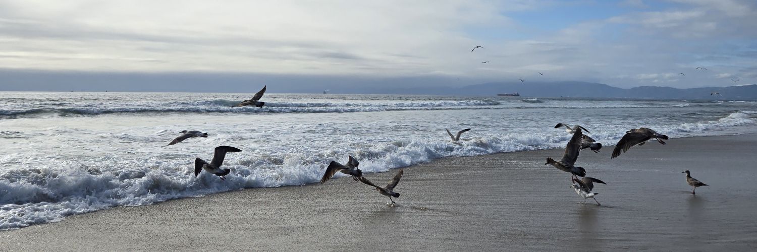 rebecca hadfield banner