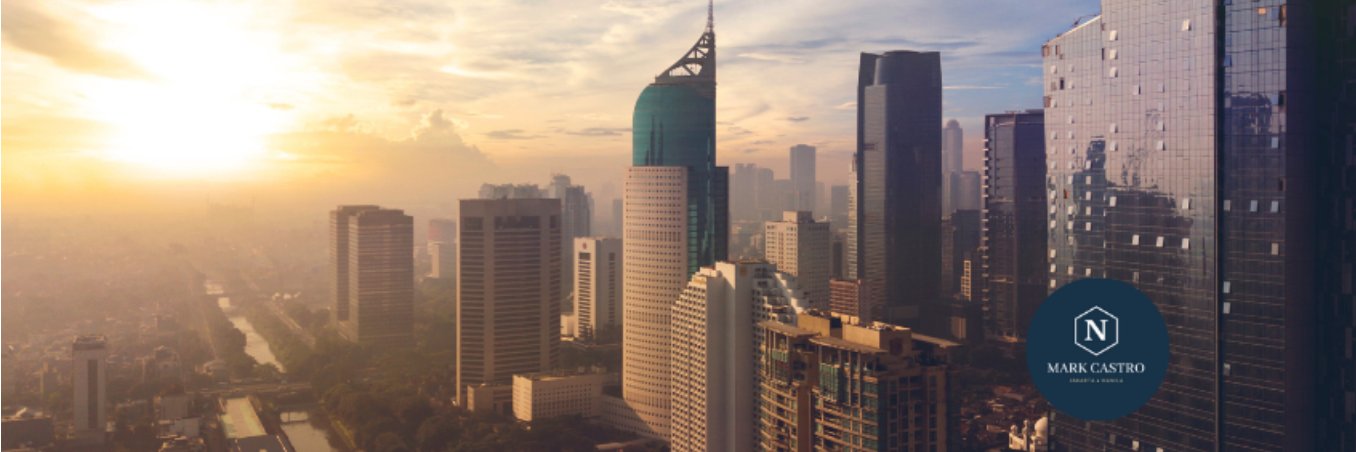 N. Mark Castro banner