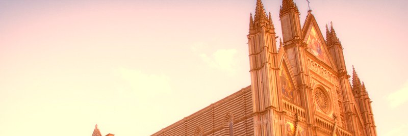 lbaydarova1's profile banner image