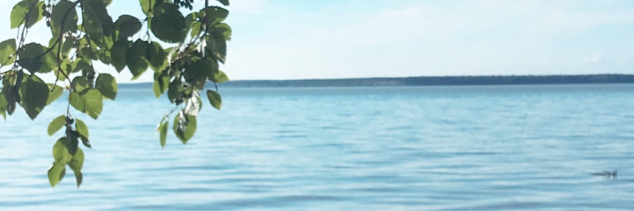 josegvcci's profile banner image