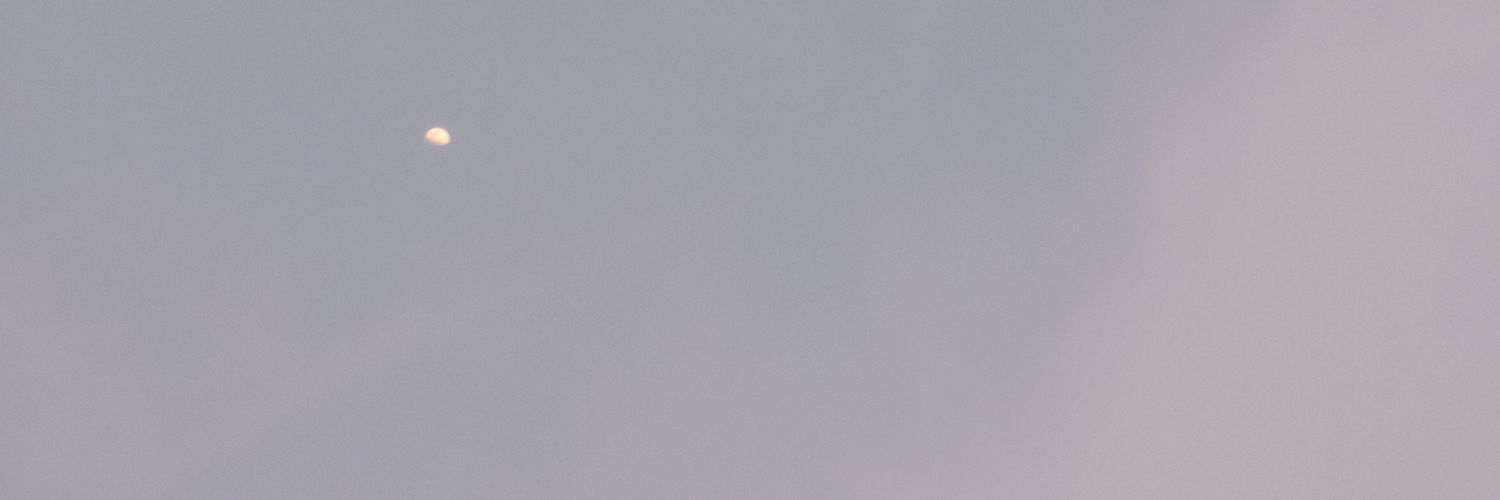 shaahsxx's profile banner image