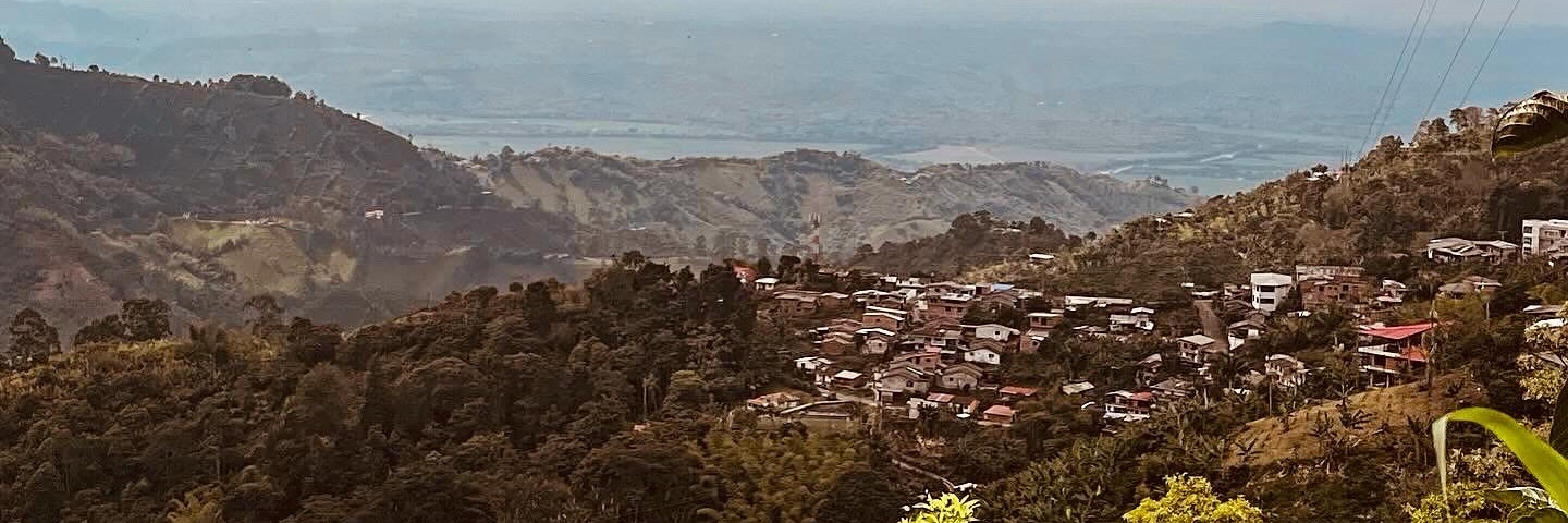 Jeneen Interlandi banner