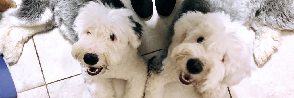kaitswagg's profile banner image