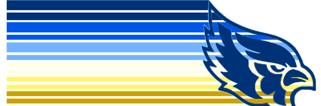 LHS Student Council banner