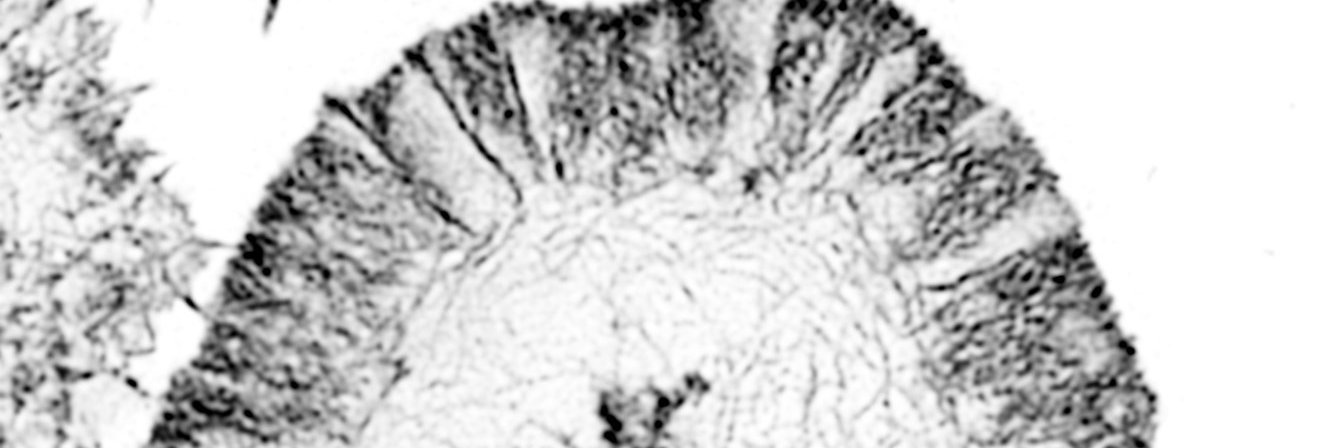 mbolgermunro's profile banner image