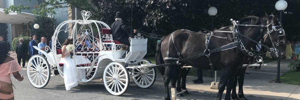 WhitesRides's profile banner image
