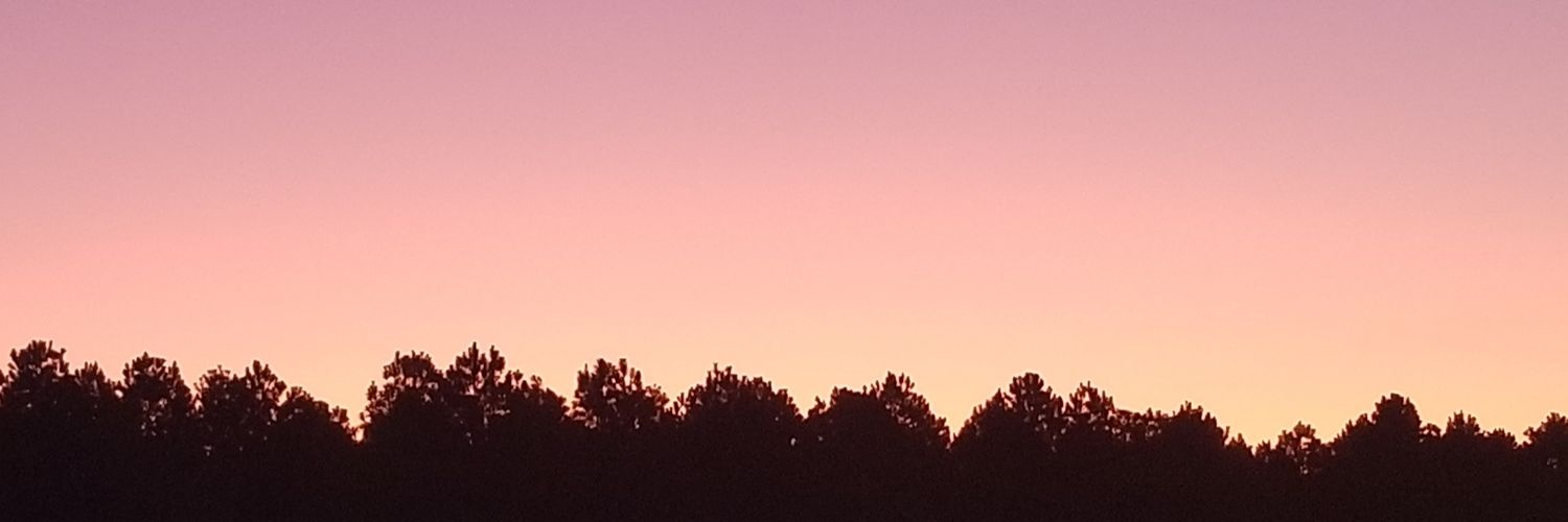 sarahwalter_'s profile banner image