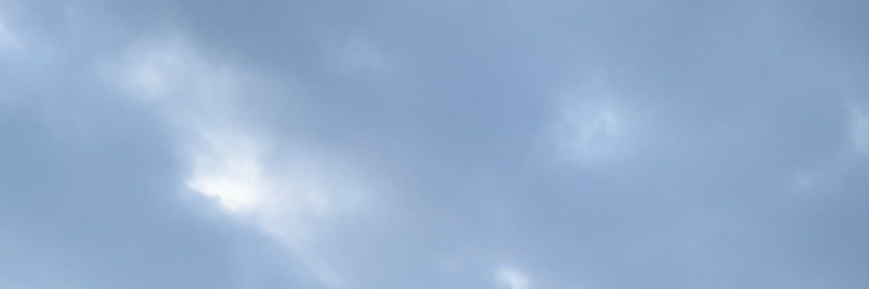 morgane_gm's profile banner image