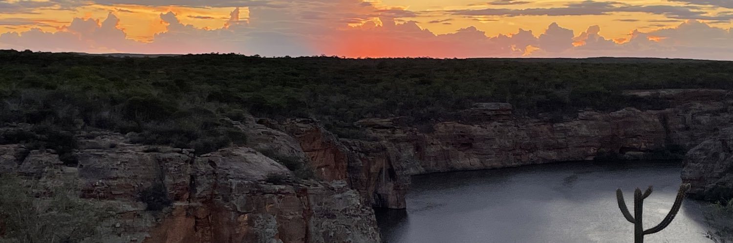 ddantaslemos's profile banner image