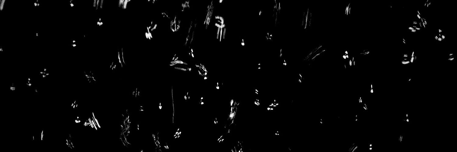 DancerValentina's profile banner image