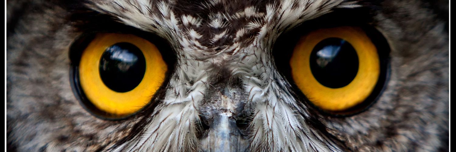 farkore's profile banner image