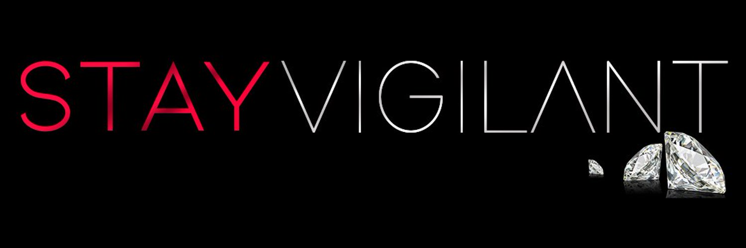 STAY VIGILANT 💎 Profile Banner