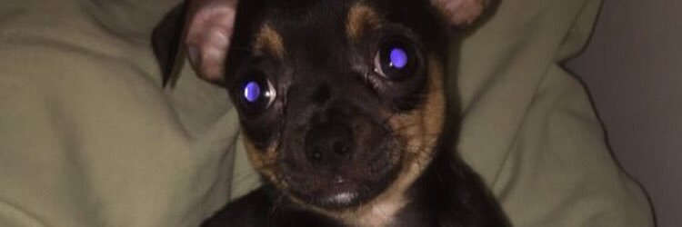 SumlordX's profile banner image