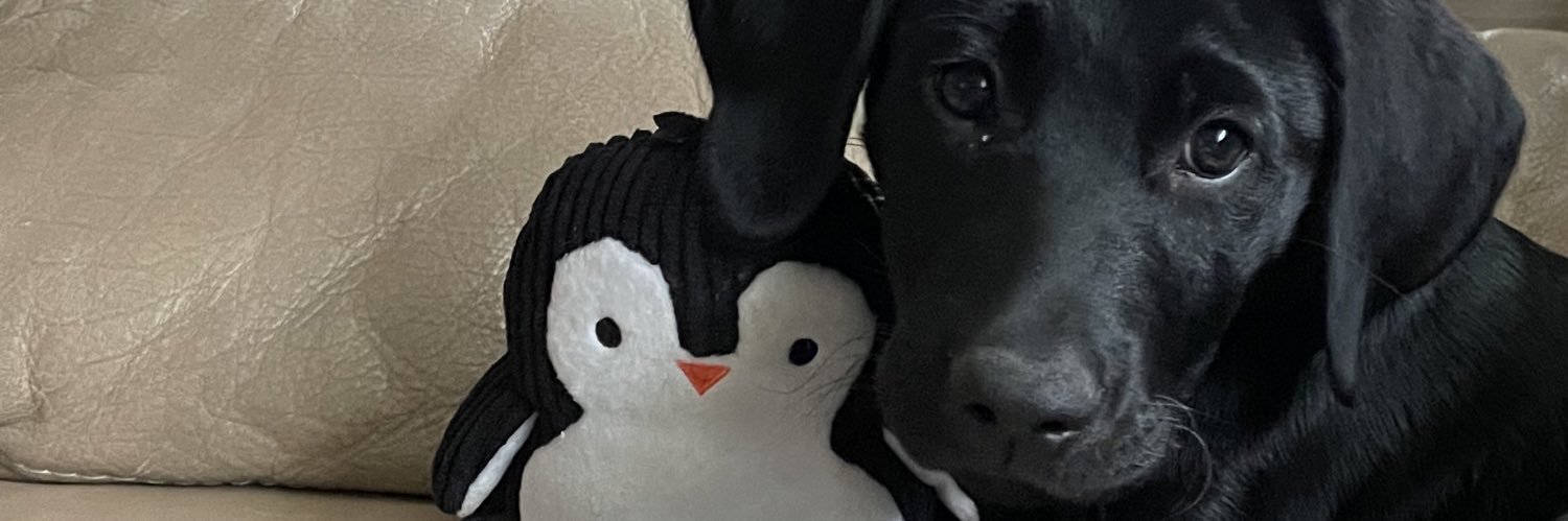 suhhhBK's profile banner image