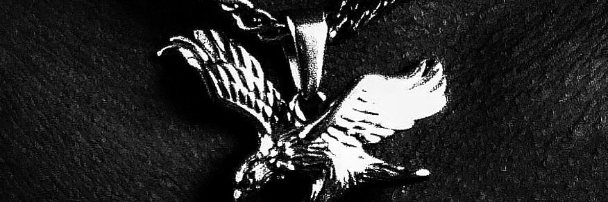 BigVibePTA's profile banner image