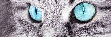 LucaPacini74's profile banner image