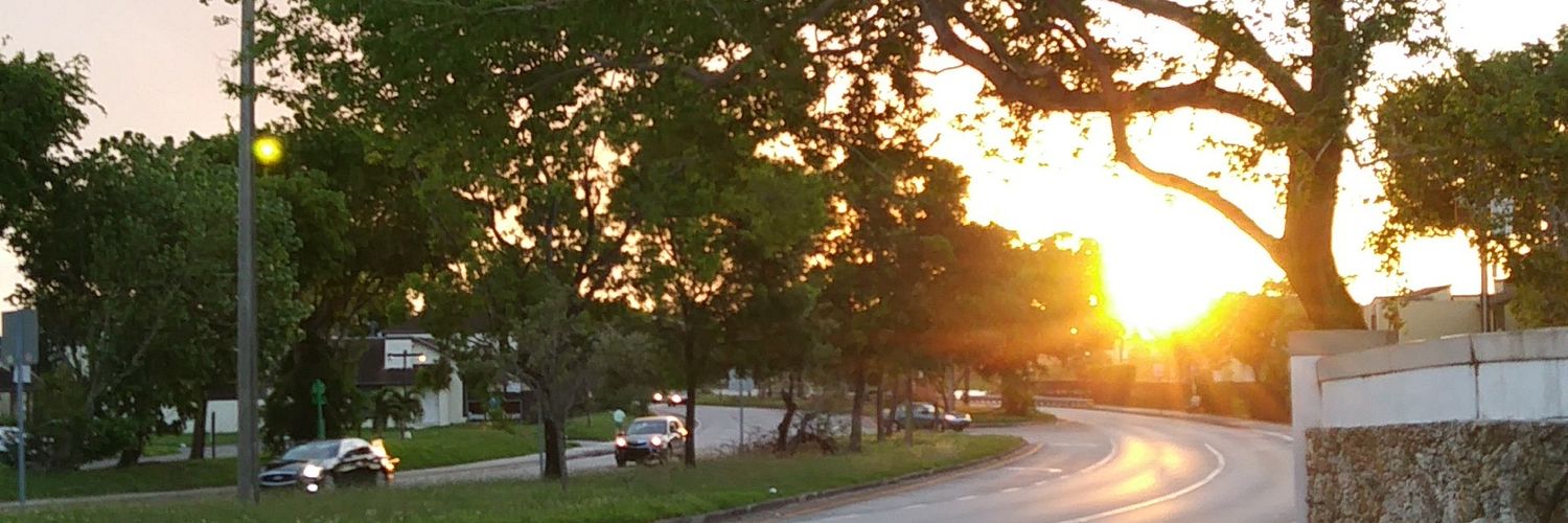 DonatellaU's profile banner image